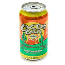 Where to buy succulents locally. Cactus Cooler 12oz 12 Pack Arizona Gifts