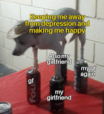 Girlfriend Appreciation Day Number 275 R Wholesomememes Wholesome Memes Know Your Meme