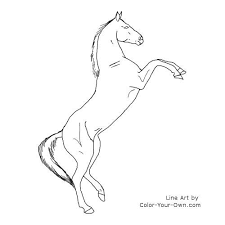 Horse Akhal Teke Coloring Page Horse Coloring Pages Horse Coloring Horse Rearing