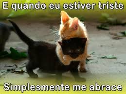 Com você não senti emoção. Frases De Amor Trechos De Letras De Musicas Romanticas Mensagens E Frases