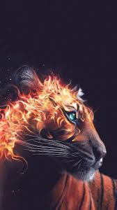Please give me feed back if you like this. Discover And Share The Most Beautiful Images From Around The World Tiger Wallpaper Fire Art Tiger Art