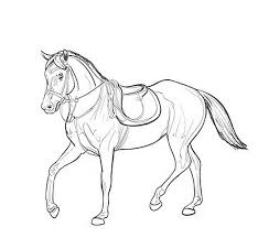Последние твиты от star stable (@starstable). Kon Kolorowanka Shefalitayal