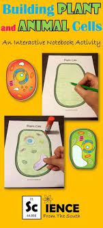Plant and animal cells do share common cell organelles, hence plant cells are distinctive when compared with functions they perform. Building Plant And Animal Cells Exploration Activity Plant And Animal Cells Science Cells Animal Cell