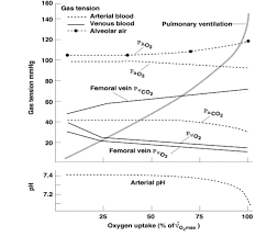 However, oxygen saturation is a better measurement of the systemic oxygen delivery to the tissues (do2)(7): Solved 160 Gas Tension 140 Arterial Blood Venous Blood Pulmonary Ventilation Alveolar Air 120 Pao2 100 Paoz 80 Gas Tension Mmhg Femoral Ve Course Hero