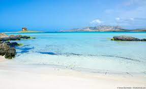 Asinara in june was perfect weather for biking, and the stunning landscape shows us how dreamlike mediterranean islands were before mass construction and condonos. Asinara L Isola Che Non C Era Adesso Online