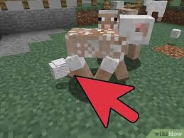Make a rear wall of glass. How To Start An Animal Farm On Minecraft 13 Steps With Pictures