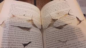 Bookworm Dmg Driverenew