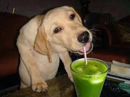 Alan Palacios Guerrero updated his status.