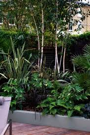Landscape Gardening Course London Landscape Gardening Jobs In Dubai With Landscape Gardening Hemel Hempstead Be Birch Trees Garden Architectural Plants Plants