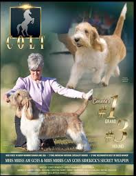 Jennifer McClintock-Shirley (@jennifer_mcclintock72) • Instagram photos and  videos