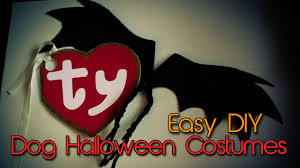 Beanie Baby Tag Dog Costume Cheap Online