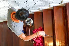 'this contract is conditional upon a pest inspection report being obtained at the expense of the purchaser and accepted as satisfactory by them within 14 days. Pest Inspection Before Closing Top Real Estate Pros Say Don T Skip It