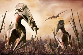 Discover the top 10 famous herbivore dinosaurs here. Giant Flying Reptile Was Top Predator Like A Winged T Rex New Scientist