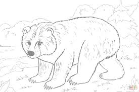 We did not find results for: Brown Bear Coloring Page Free Printable Coloring Pages Coloring Home