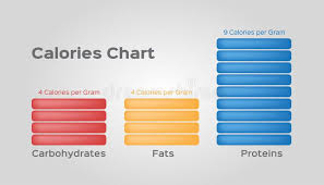 Protein Fat Carbohydrate Stock Illustrations 697 Protein