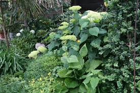 Blauer garten der weiße garten ist ein sehr bekanntes konzept aus england in ihrem buch hortensien hat katharina adams alles wissenswerte rund um pflanzen und pflege. Hortensie Annabell Buchs Gartenreise Holland Belgien Garten Hortensien Reisen
