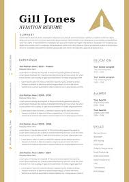 10+ aviation resume free psd template