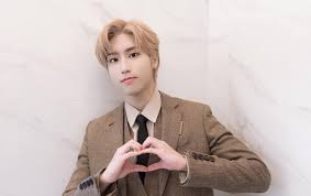 You decided to let yourself relish in this moment for the time being, when would you. Stray Kids Han Gets Noticed By Your Name Animation Director After Releasing A New Song Kpopstarz