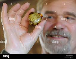 Gerald carver hi-res stock photography and images