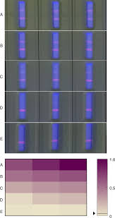 The tests have been validated by. Rapid Lateral Flow Immunoassay For The Fluorescence Detection Of Sars Cov 2 Rna Nature Biomedical Engineering