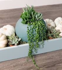 Maybe you would like to learn more about one of these? Diy Project Succulent Pumpkin Colorfully Behr