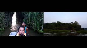 Fantasi dongeng reptil makhluk mitos hewan gambar naga keren gambar kepala naga gambar tato naga. Tasik Chini Lokasi Menarik Penuh Misteri