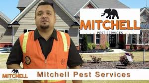 Find out what works well at dodson pest control from the people who know best. The 9 Best Options For Pest Control In Richmond Va 2021