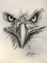 Pin By Douglas Casey On My Patterns Eagle Drawing Eagle Art Art Drawings