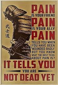 Pin By Mel Porter On Martial Arts Warrior Quotes Samurai Quotes Martial Arts Quotes