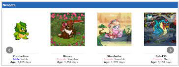 Is There Any Way To Increase The Height Of This Table On Your User Lookup?  - Computers & Programming - The Daily Neopets Forum