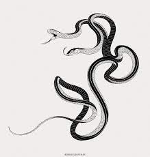Mau Lencinas Shared A Post On Instagram Two Headed Snake Dicephaly Design Art Illustration Tattooinsp Snake Tattoo Design Snake Tattoo Snake Drawing