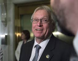 Quebec looking at tighter pit bull regulations after recent incidents