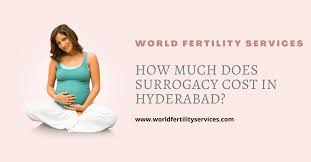 It is also said that the availability of young surrogate mothers. How Much Does Surrogacy Cost In Hyderabad 2021 Wfs