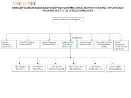 A) jabatan radiologi utama di bangunan jpd baru. National Transplant Registry Methodology Dr Jamaiyah Haniff Head Disease Treatment Registry Unit Ppt Download