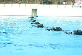 Pangdivif Kostrad Mayor Jendral Tni Agus Rohman Resmikan Kolam Renang Sthira Yudha Resimen Armed 2 1 Kostrad Jabarnet