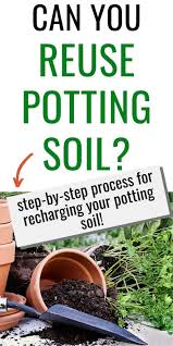 Maybe you would like to learn more about one of these? Can You Reuse Potting Soil Step By Step Process For Recharging Your Potting Soil Together Time Family