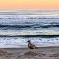Sunday Sanctuary - Monthly Community Reiki Circle