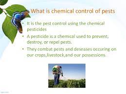 Now since technology has improved, we have various pest control services. Chemical Control Of Pest Management