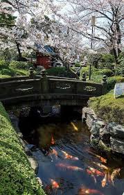 Travelador Com Travel Domain Name For Sale Japan Travel Visit Japan Japanese Garden