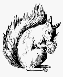 Some tips for printing these coloring pages: Red Squirrel Coloring Page Hd Png Download Transparent Png Image Pngitem