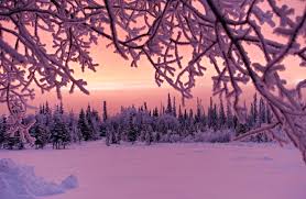 Hd snow background wallpapers for desktop, pc, laptop, mobile phone, tablet and other devices. Winter Pink Snow Wallpaper