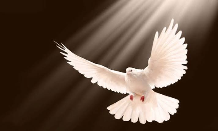 Person and Work of the Holy Spirit - Alliance World Fellowship