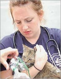 Joe Belsito's Instagram, Twitter & Facebook