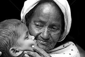 Stock Image Search Results