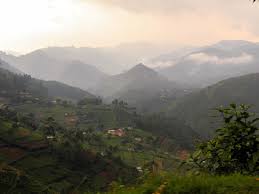 Maybe you would like to learn more about one of these? List Beisler Premium Coffee Culture Since 1901 Uganda