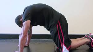 Have you gone over the disc herniation part 1 article from stabilization exercises: Cat Camel Exercise For Lower Back Stretches Youtube