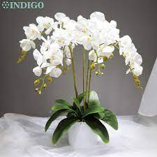 Bunga taman bunga plastik hias bunga anggrek bunga hias hiasan dinding. Pengaturan Bunga Anggrek Ngengat Diy 5 Buah Anggrek 3 Daun Dekorasi Meja Sentuh Nyata Pusat Pesta Pernikahan Tanpa Vas Nila Arranging Orchids Flower Arrangements Orchidsflower Arrangement Aliexpress