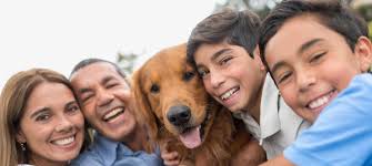 Search our animal hospital locations nationwide offering general, emergency and specialty veterinary services. Healthy Pets Healthy People Cdc