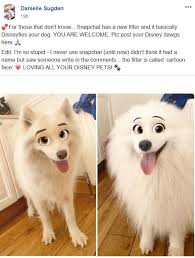 How To Get The Disney Filter On Snapchat Step By Step Explanation