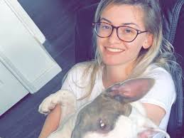 VCA Centreville Animal Hospital